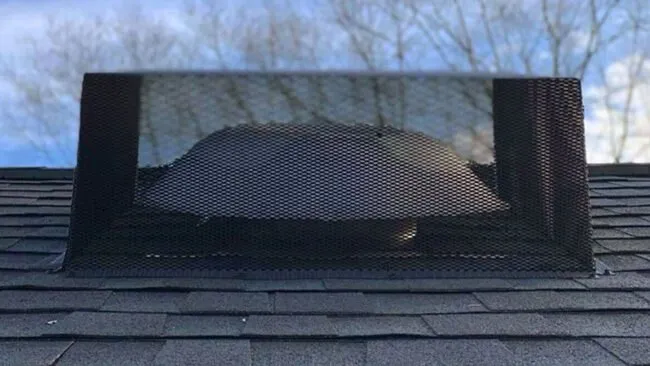 Mesh guard installed over a power fan roof vent
