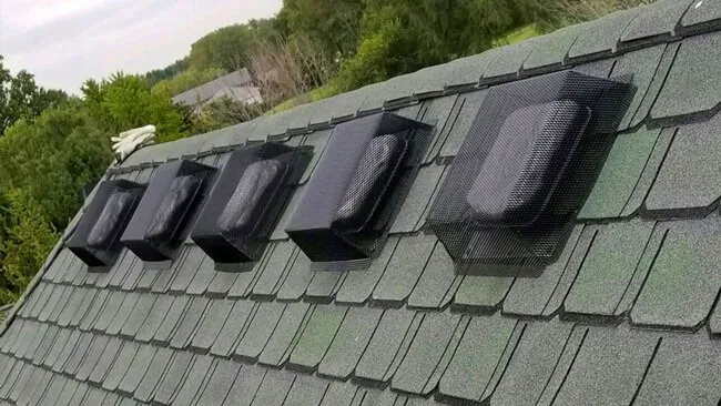 Mesh guards installed over a row of roof vents