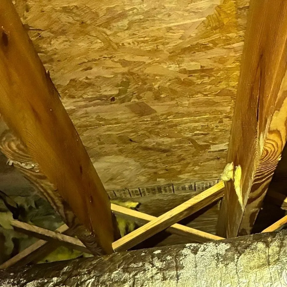 Floor joists in a crawlspace after wood-decay fungus treatment