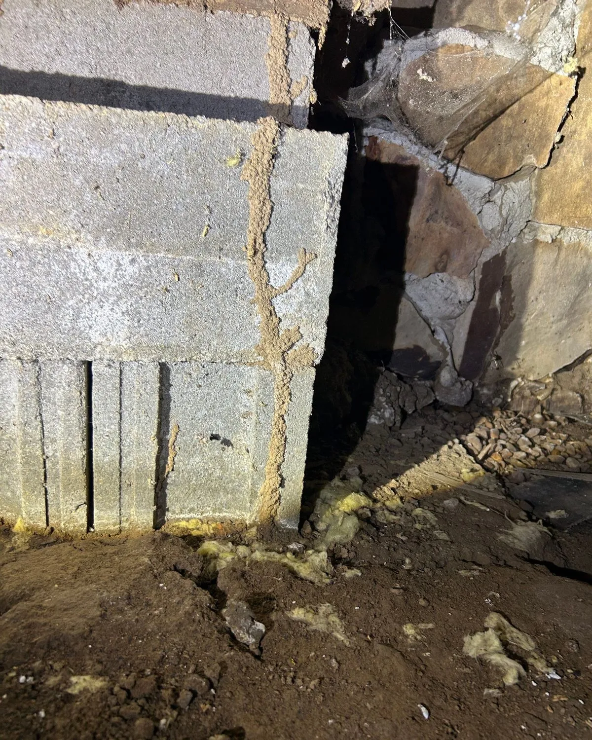 Mud tubes running up a concrete block foundation wall in a crawlspace