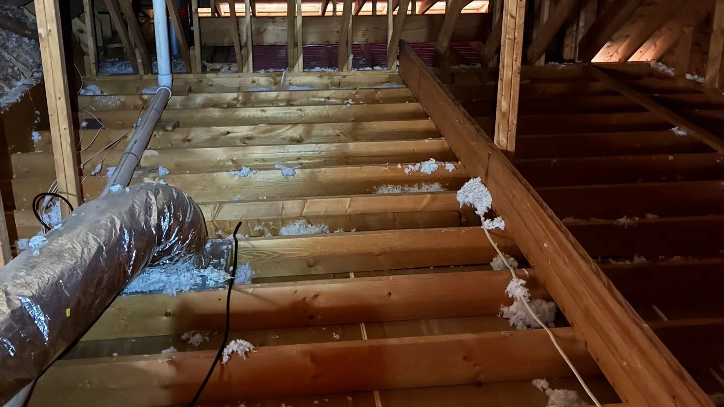 Attic floor joists with the old insulation removed