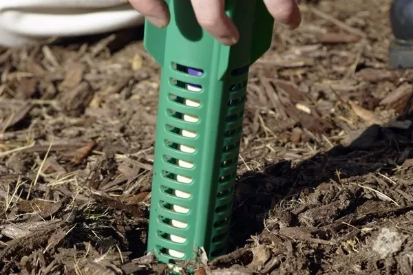 A green Sentricon bait station being pushed into the soil beside a lawn