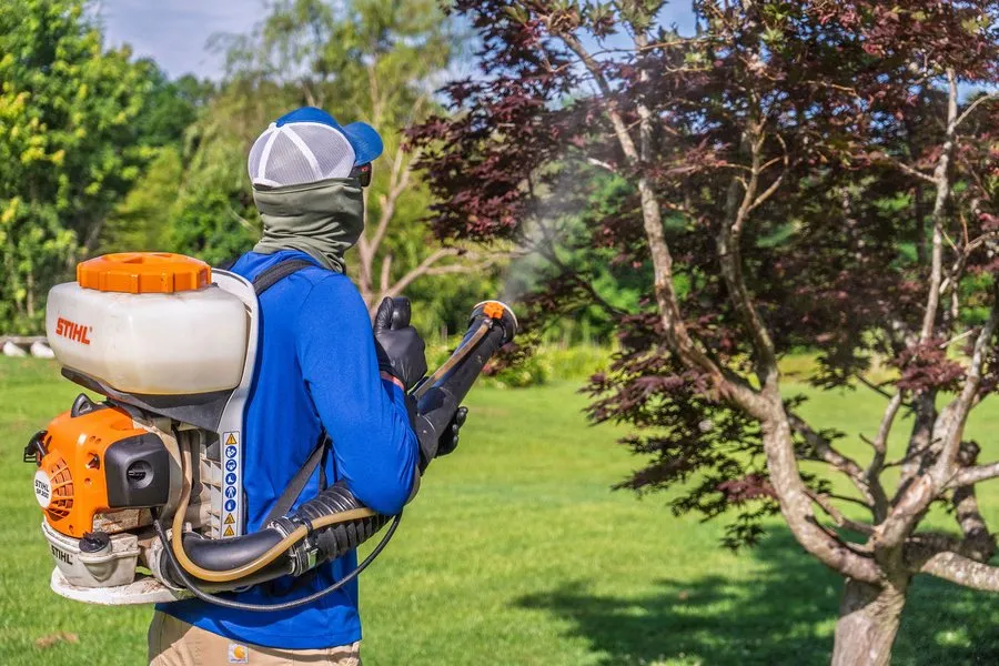 Liberty Service Specialist treating trees and shrubs with a backpack mister